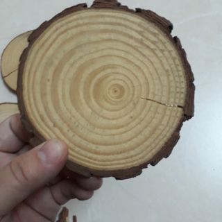 Miếng gỗ vân tròn phụ kiện decor chụp ảnh