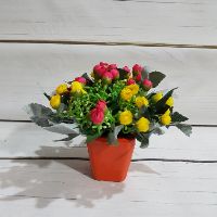 Bình hoa hồng tiểu muội để bàn