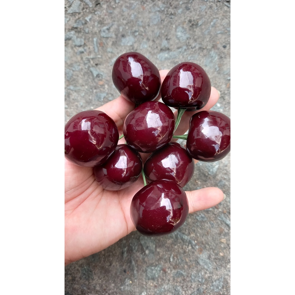 6 Trái Cherry giả - Trái cây giả - Hương Flower