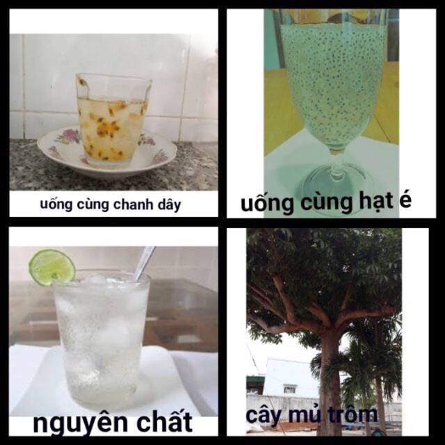 500g Mủ trôm Phan Rang hạt nhỏ Nguyên Chất, Mủ Trôm Sạch Cao Cấp
