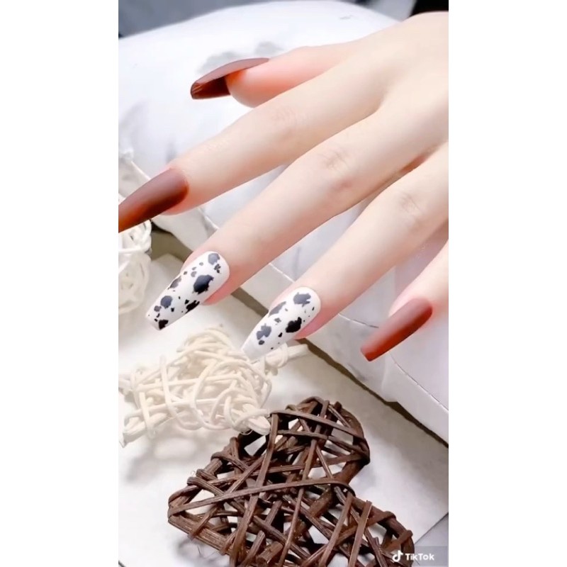 Sơn top trứng cút trend mới