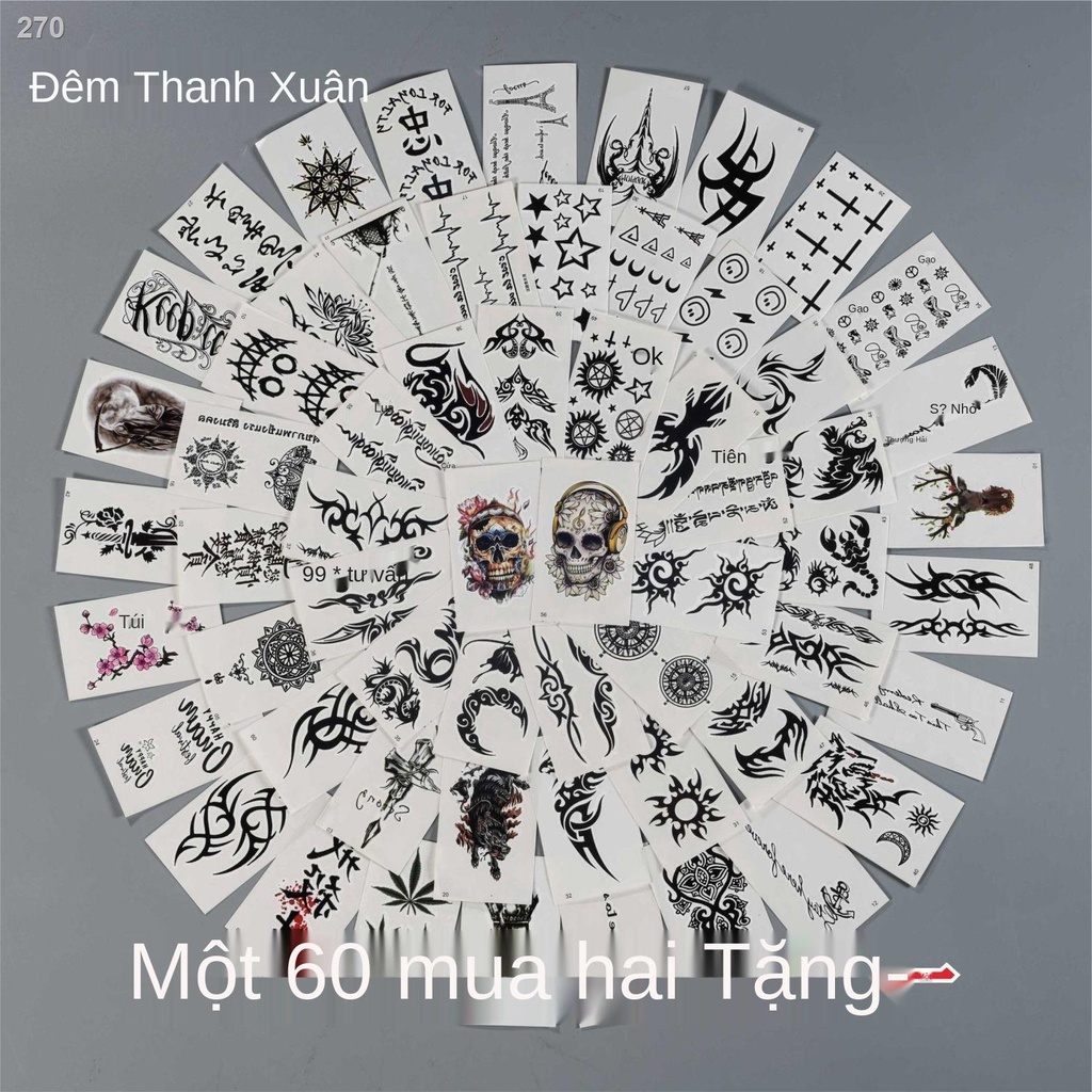 【Mới nhất】Hình xăm đen sẫm dán totem tiếng Anh nhỏ tươi mô phỏng bọ cạp hộp sọ lâu dài phong cách Hàn Quốc không thấm nư