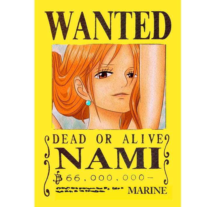 Poster / Tranh dán tường anime One Piece - Truy tìm kho báu