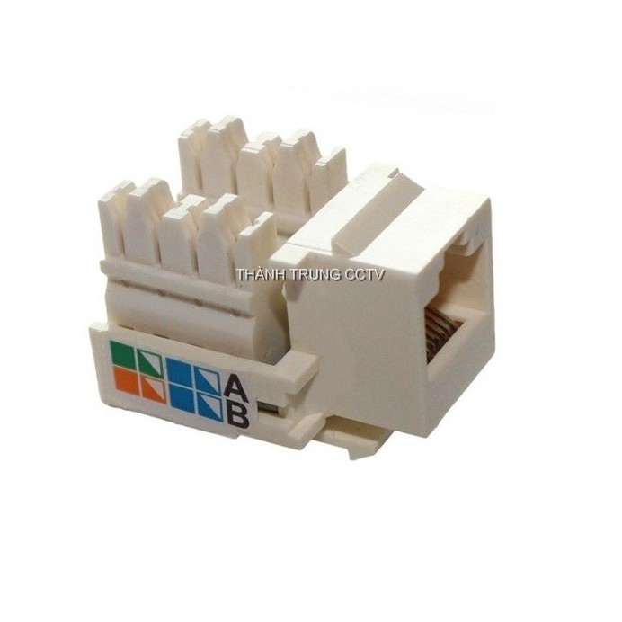Nhân mạng âm tường Cat5 - Hạt mạng âm tường Cat5 dùng cho mặt nạ AMP/Commscope