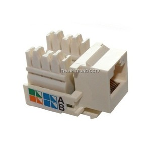 Nhân mạng âm tường Cat5 AMC