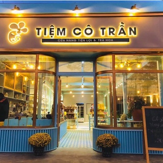 Trà Sâm Dây Ngọc Linh Dato