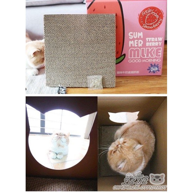 Đồ chơi cho mèo cào móng CatBox CatTree, Nhà giấy cho mèo