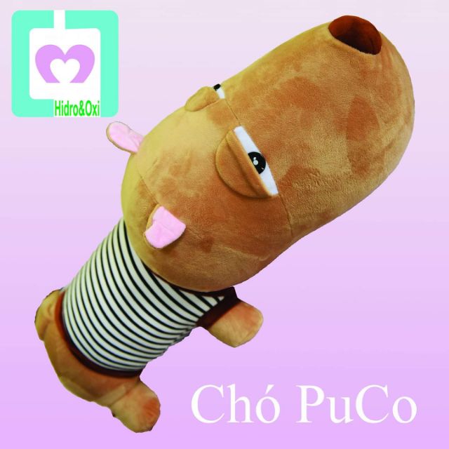 Chó Pucco 75cm