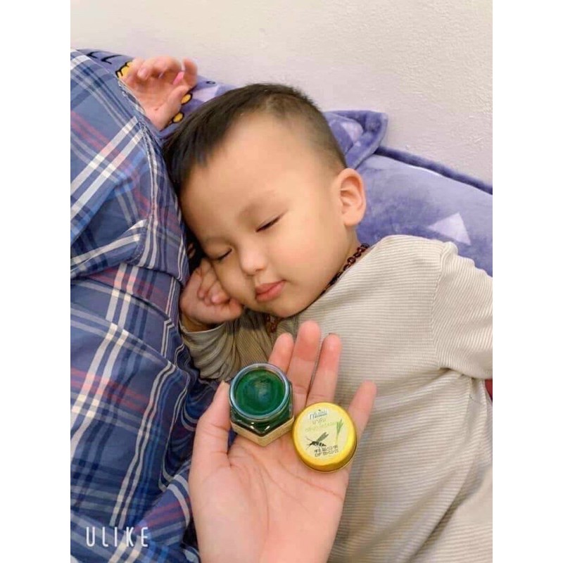 CAO SẢ BÔI MUỖI THÁI LAN