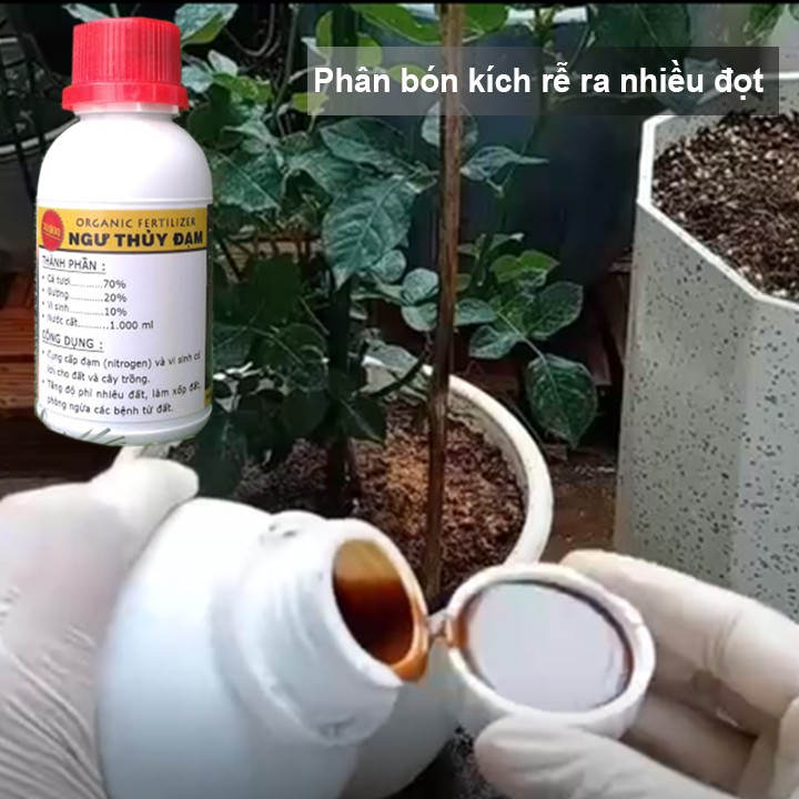500ml Đạm cá, phân bón kích thích ra rễ, đọt, xanh lá, nhiều hoa, hồng, lan, rau, trái, củ