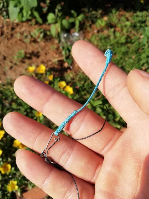 Xích chân chim chào mào / than / lửa ..vv