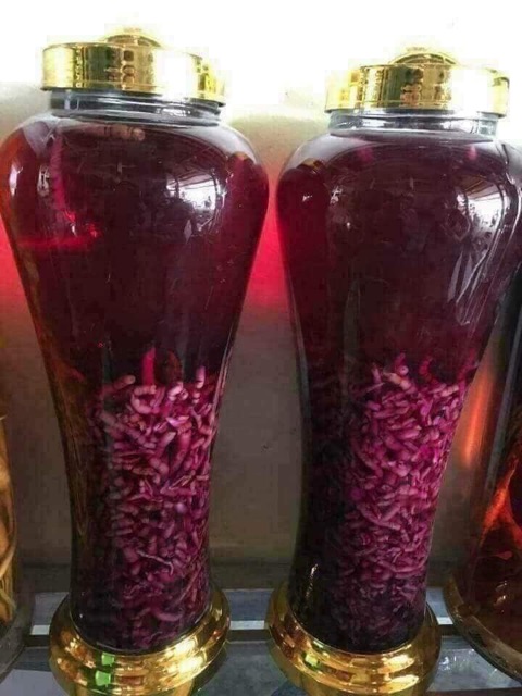 ☘️💥BA KÍCH TÍM  RỪNG⭐️💕🍁