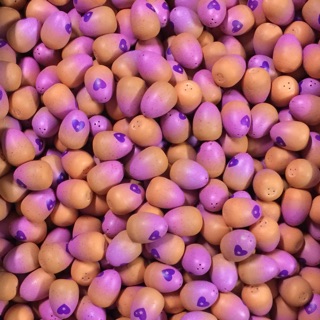 Trứng Hatchimals