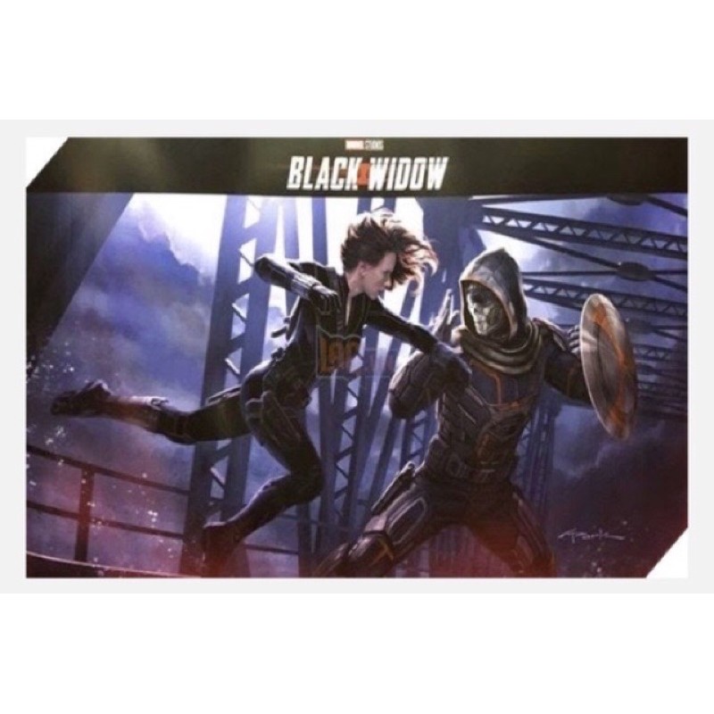 Hộp mô hình nhân vật Black Widow &amp; Taskmaster