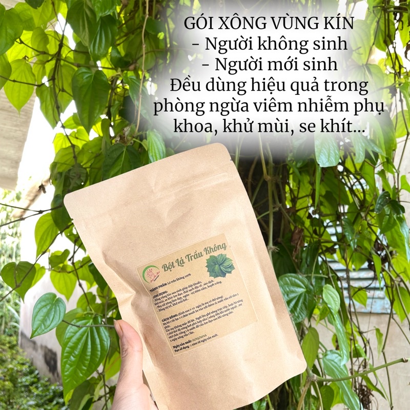 BỘT LÁ TRẦU KHÔNG (DẠNG TÚI LỌC)