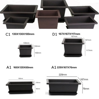 Chậu Trồng Cây Bonsai Hình Chữ Nhật Bằng Nhựa Kèm Khay Đựng Tiện Dụng