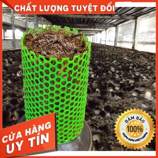 Phôi Nấm Rơm HƯNGQS Chất Lượng Đã Cấy Meo Và Dinh Dưỡng Tưới Là Có Nấm (phôi 2kg)