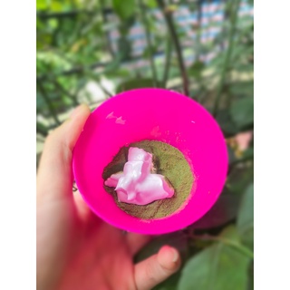 Combo bột trà xanh + sữa non + que đắp mặt