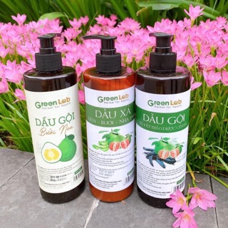 Dầu gội thảo dược 100% tự nhiên