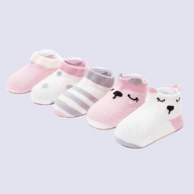 [Lẻ = Sỉ] Sét 5 đôi tất lưới cổ thấp Kid's Socks