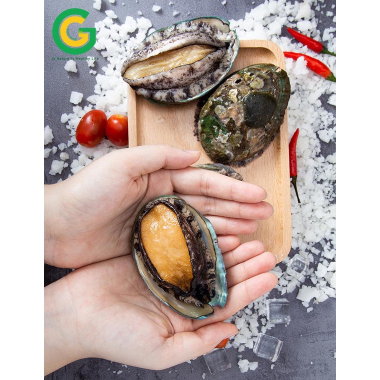 Bào Ngư Hàn Quốc Tươi Nhập Khẩu Green Good Chế Biến Nướng, Cháo, Hầm 1Kg