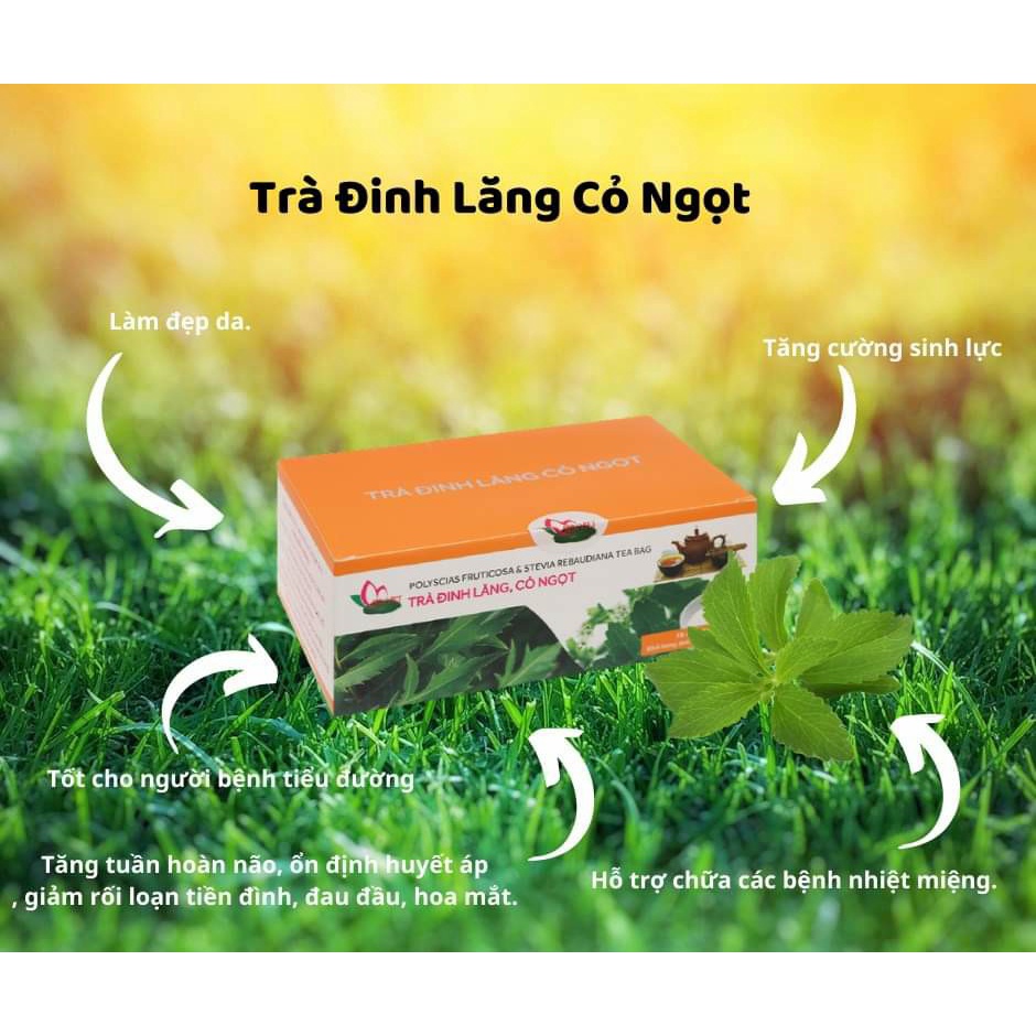 Trà Đinh Lăng Cỏ Ngọt Túi Lọc Trà Thơm Vị Thanh Cải Thiện Tình Trạng Đau Đầu