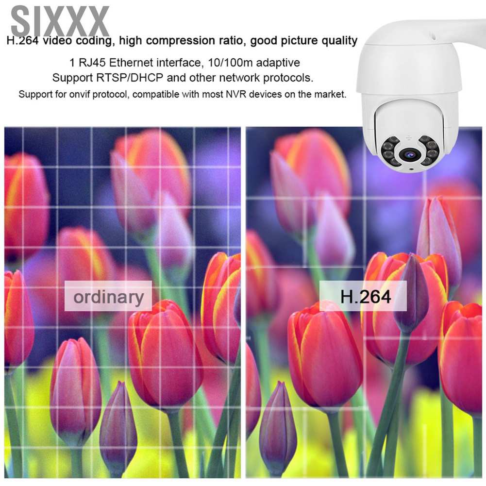 Sixxx 2in Waterproof PTZ Mini Dome Camera 1080P WiFi 8 Lights Security Surveillance Work with Icsee 110‑240V