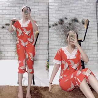 Tiểu thư lửng lụa hàn