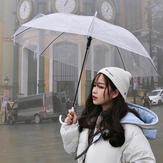 Ô Dù trong suốt siêu yêuuu ❄️🇰🇷