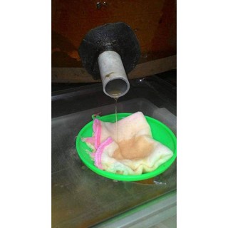 Nước mắm cá cơm nhà làm