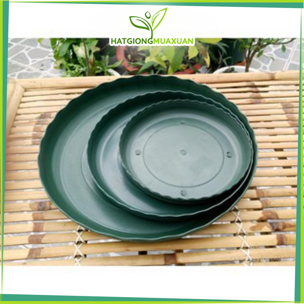 ĐĨA CHẬU MONROVIA_Đĩa lót chậu Monrovia các loại 1GL-2GL-3GL-5GL-7GL