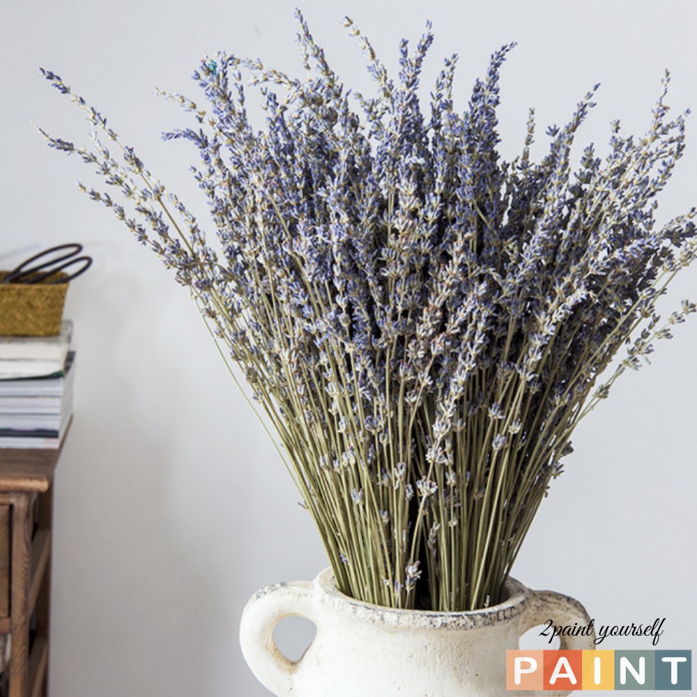 Bó 30 cành hoa lavender thơm ngát - Hoa khô oải hương trang trí handmade (cắm đươc 1 lọ thủy tinh để bàn)