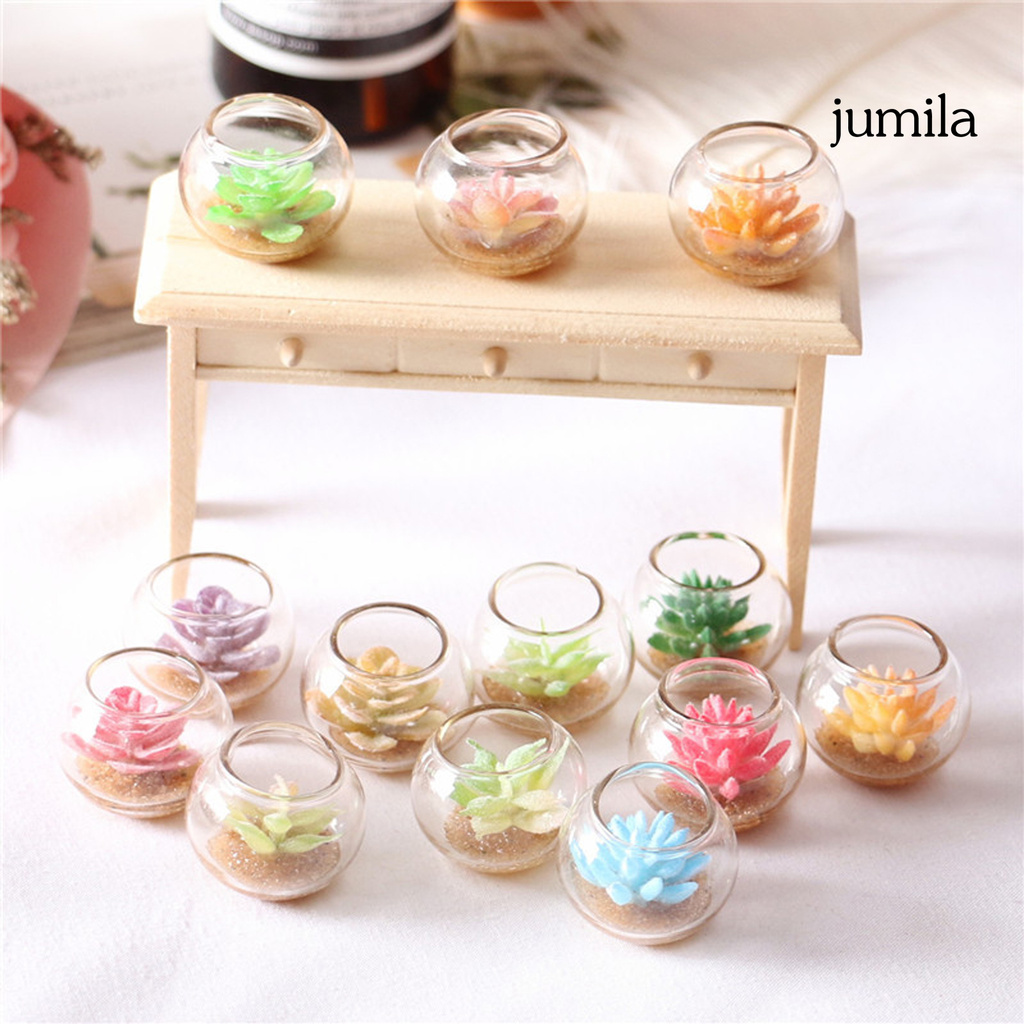 Chậu Cây Mọng Nước Mini Trang Trí Nhà Búp Bê