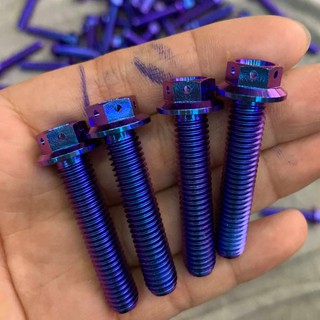 Ốc titanium GR5 size 8 ly 4 phân đầu probolt
