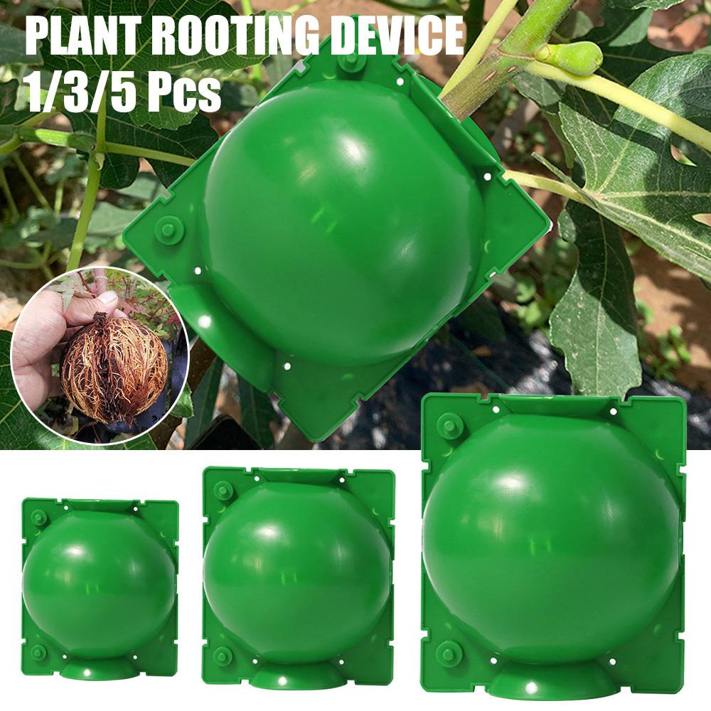 Set 1 / 3 / 5 Bóng Rễ Cây Trồng Chịu Lực Cao