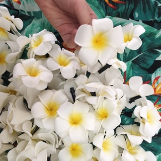 Kẹp hoa sứ