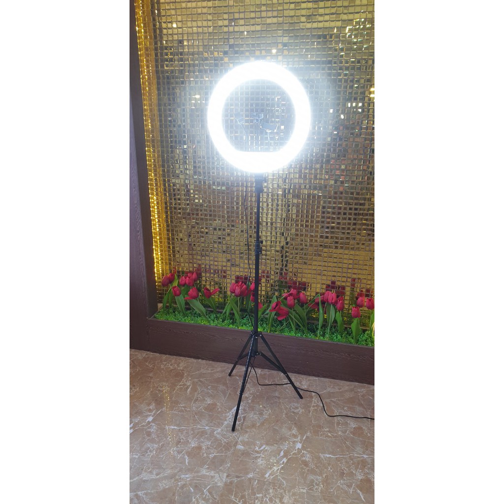 ĐÈN LIVESTREAM BÁN HÀNG, CHỤP HÌNH MAKE UP LIVE STREAM ,MAKEUP TRANG ĐIỂM | BigBuy360 - bigbuy360.vn