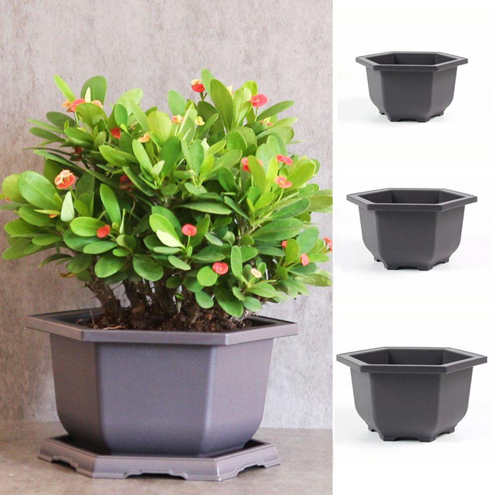 LONTIME Chậu Nhựa Trồng Cây Hình Lục Giác