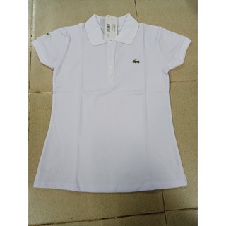 Áo thun nữ mẫu mới size xxxxl