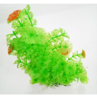   Cây Trang Trí Bể Cá Size Đại (Khoảng 25cm x 17cm Mỗi Cây) - Đồ Trang Trí Hồ Cá [CÂY ĐẠI]