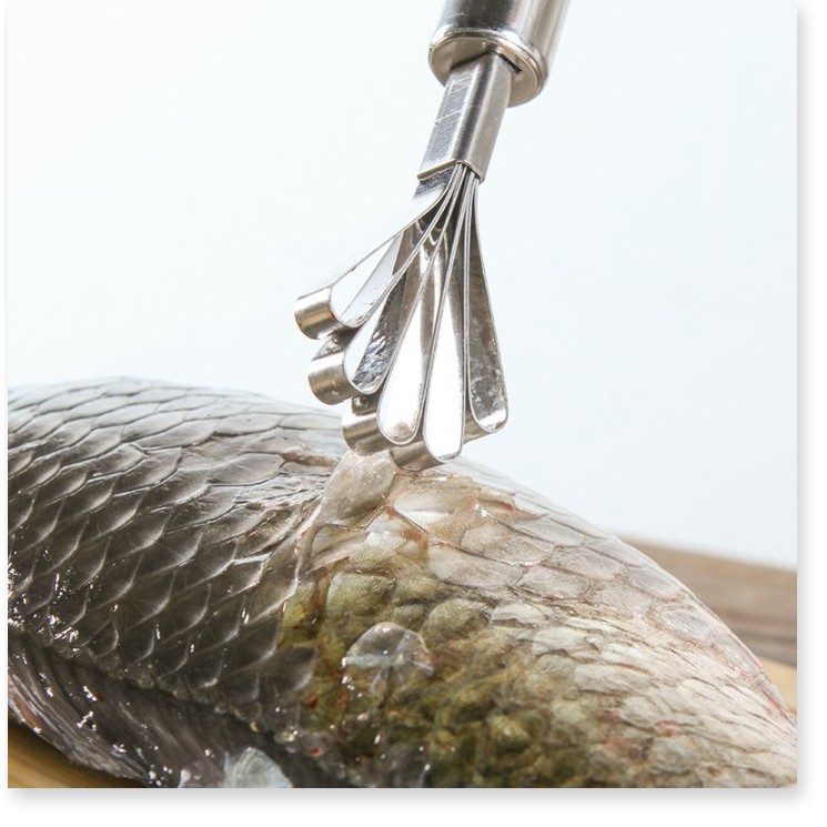 Đánh vảy cá 👉BH 1 THÁNG 👈  Cây cạo vảy cá, nạo dừa chất liệu thép không gỉ, bền bỉ 3176
