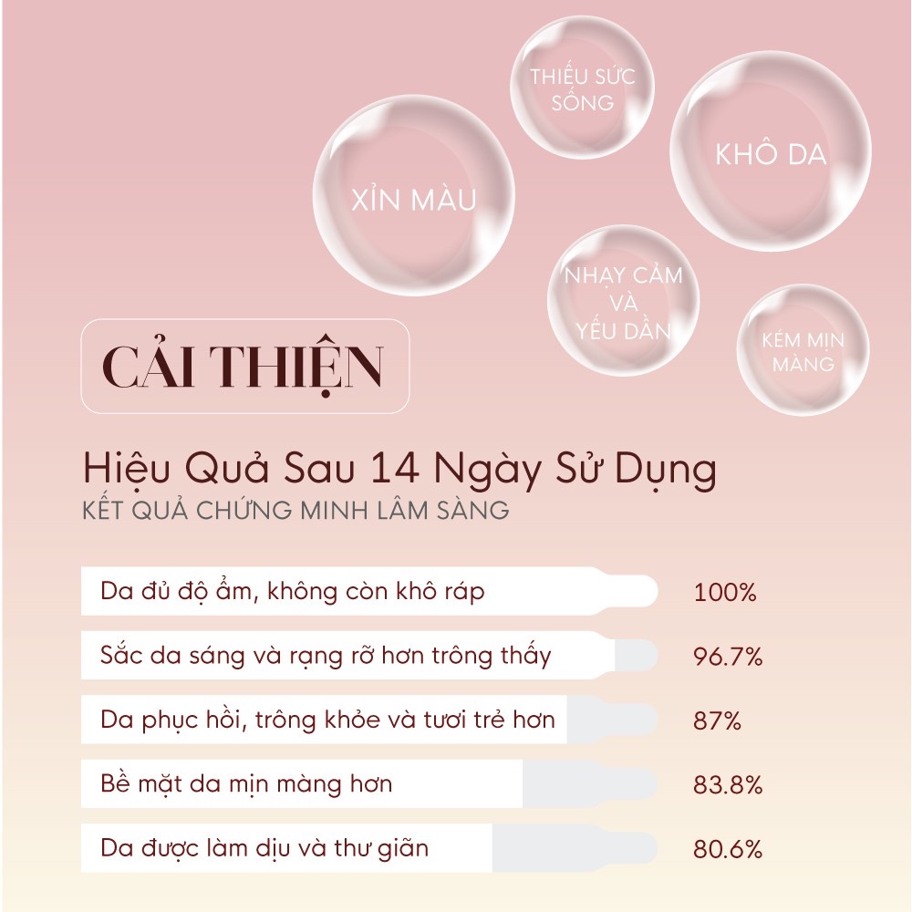 (HÀNG CÓ SẴN) Bộ 5 Sản Phẩm Dưỡng Trắng và Phục Hồi Da GILAA SAFFRON TONE UP REPAIR | BigBuy360 - bigbuy360.vn