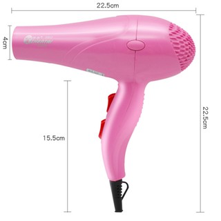 Máy Sấy Lông Chó Mèo Công Suất 1000w