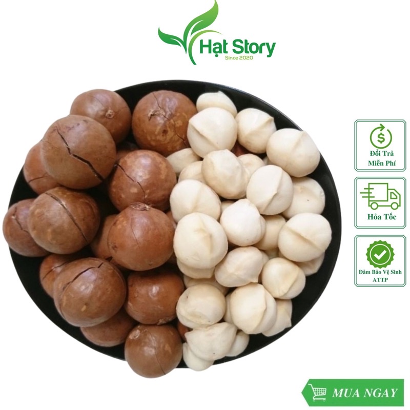 500Gr Hạt Macca Sạch ĐăkLăk (sấy lạnh) nhà trồng loại 1 có ATVSTP hạt mắc ca