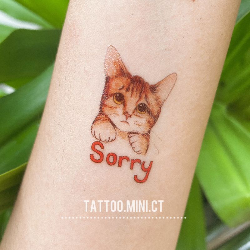 Hình xăm tatoo mèo munchkin sorry - mèo lêu lêu - sorry h19