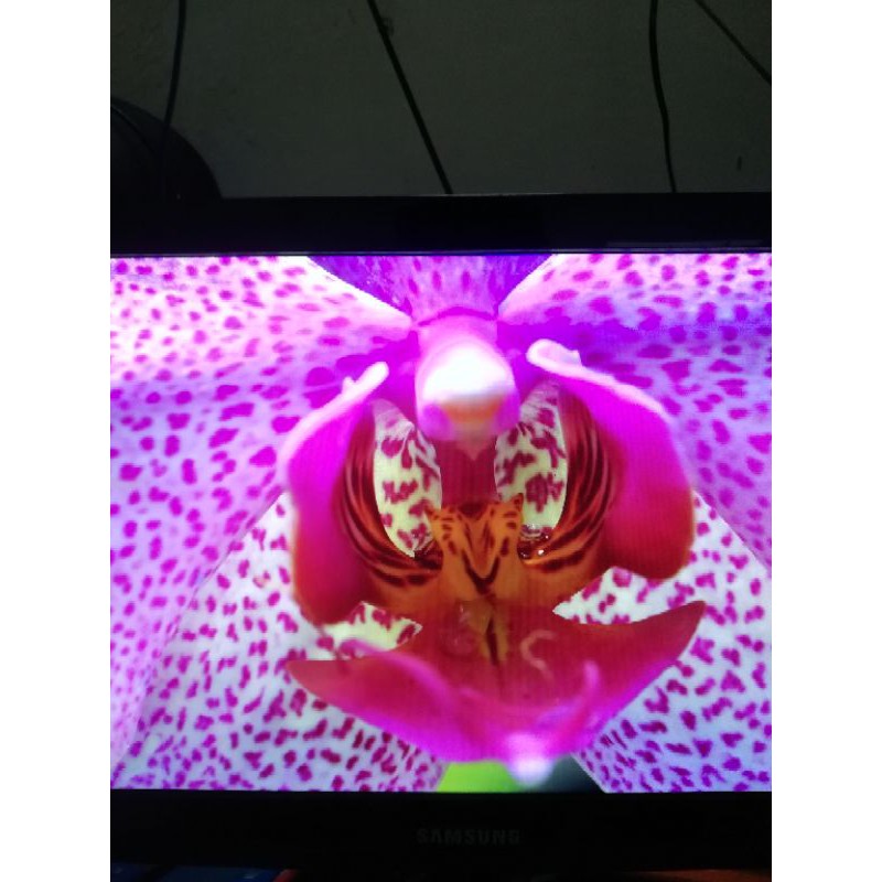 Bộ PC cấu hình mạnh E3-1225V3=i5-4570 | BigBuy360 - bigbuy360.vn