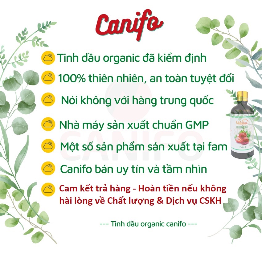 Tinh dầu trà trắng nguyên chất 1 lít Canifo có kiểm định chất lượng, tinh dầu nước hoa, khử mùi, xông thơm phòng