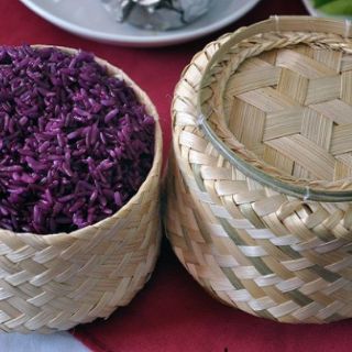 Cây cẩm tím đậm (cây to)
