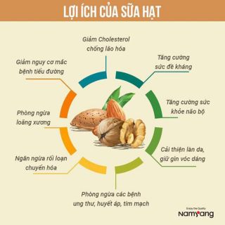 Sữa óc chó