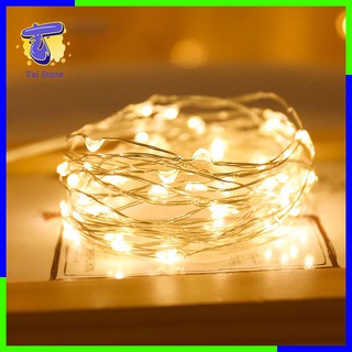 Đèn LED Decor trang trí - Đèn đom đóm nhấp nháy 3 chế độ - Dài 2m DN2M - Tei Store